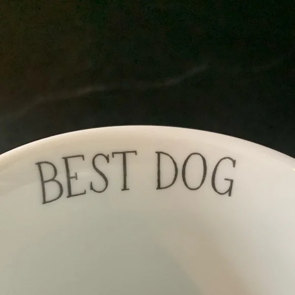 FRINGE STUDIO | Julianna Swaney | “Best Dog” Yellow Lab Mug - Picture 3 of 8